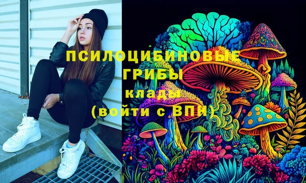 гидропоника Бронницы