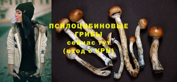 apvp Бугульма