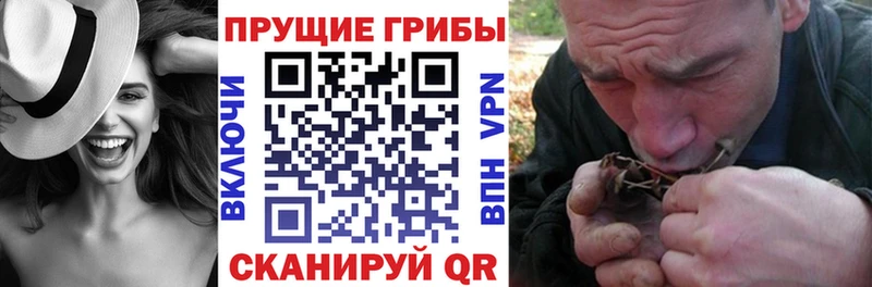 купить наркоту  Тбилисская  Галлюциногенные грибы мухоморы 